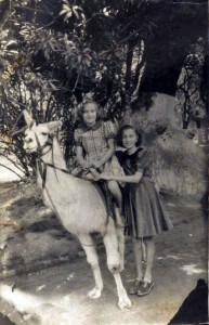 Famílias aproveitavam vinda circos para fotografar junto aos animais 1952