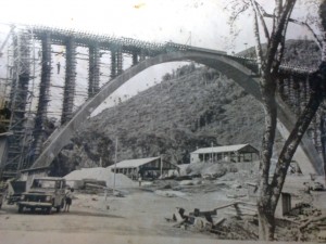 Ipê Ponte dos Arcos Tronco Principal Sul(acervo Renan Zanella)