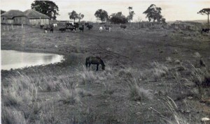 Passo Fundo Fazenda Umbú de Waldemar Klein em São Miguel déc1950  