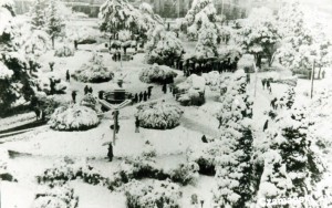 Passo Fundo Neve na Praça 1965 