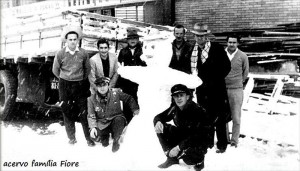 Passo Fundo neve de 1965 