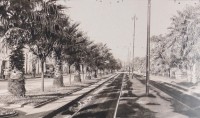 Porto Alegre Av Oswaldo Aranha com as palmeiras déc1940