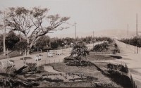 Porto Alegre Av do Parque da Redenção Morro da Polícia déc 1920