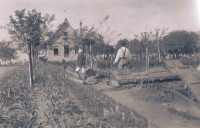 Porto Alegre Bairro Jardim Isabel Zona Sul Chácara dos Dreher 1