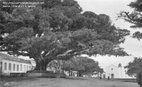 Porto Alegre Belém Velho 1931