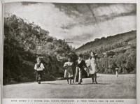 Porto Alegre Estrada Da Cascata Arrabalde da Glória 1949