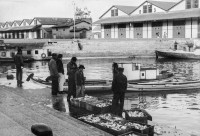 Porto Alegre Feira do Peixe(Léo Guerreiro e Pedro Flores  Museu Joaquim Felizardo) 1958