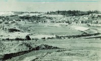 Porto Alegre Grêmio Construção Estádio Olímpico déc1950