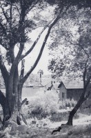 Porto Alegre Habitações operárias nos arredores da cidade déc1930