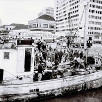 Porto Alegre Marujos descarregando peixe, e os vendendo, no porto. Fotos de José Abraham Diaz