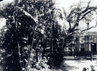 Porto Alegre Monumento Caldas Junior na Praça XV e Chalé