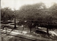 Porto Alegre Praça da Alfândega 1-1