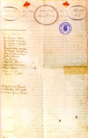 Carta de corso de Garibaldi