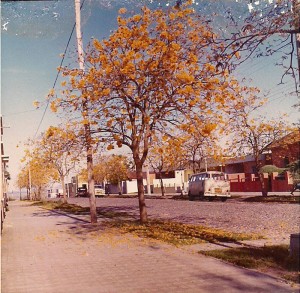 Rosário do Sul Rua Riachuelo 1973