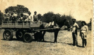 Santa Vitória do Palmar Primeira carroça de quatro rodas com pneus e cameras(acervo familia Farias de Albernnaz) 1974