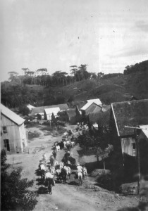 Caxias do Sul Ana Rech Tropa de gado passando por Ana Rech 1930